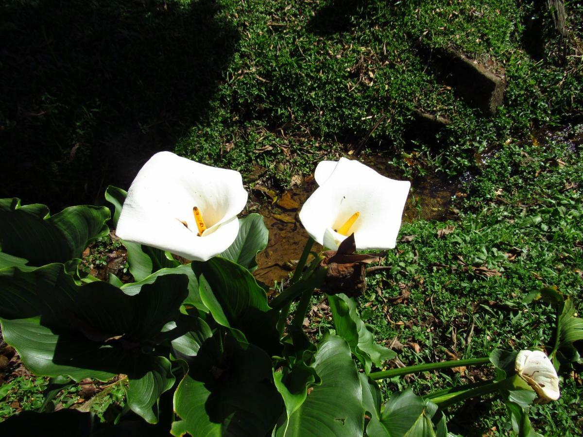 Pousada Cruzeiro Do Sul Itatiaia  Εξωτερικό φωτογραφία